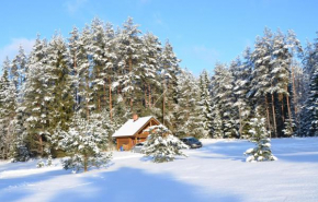 Отель Tõrvaaugu Holiday Homes  Mägede